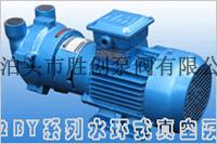 供应2BYV系列水环式真空泵/砖厂用真空泵/液环式真空泵