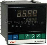 供应温度控制仪XMTA-5000XMTG5000 控制仪价格