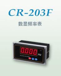 CR203F系列频率表批发