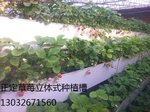 供应富民立体式种植槽雾培箱、水培箱 立体种植槽 立体种植，阳台种植槽 草莓立体种植槽