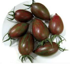 供应特色番茄种子￥黑番茄种子价格￥黑番茄种子种植