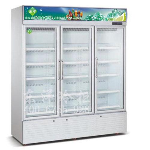 超市冷冻柜-冷冻展示柜-医用冷柜批发
