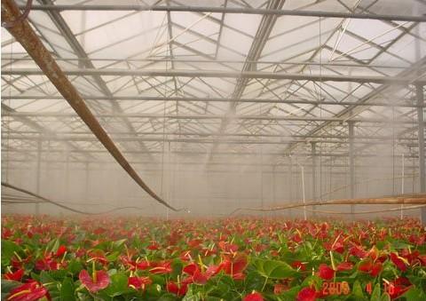 供应食用菌栽培蔬菜苗圃温室大棚喷雾加湿喷药防疫施肥微雾机