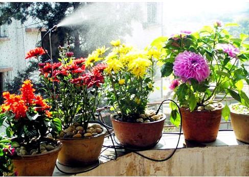 供应大棚种植鲜花批发场喷雾加湿器