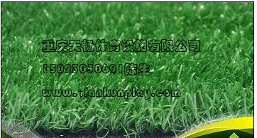 供应重庆武隆县室外人造草坪南岸区运动足球场人造草坪重庆防滑安全地垫优质生产供应厂家