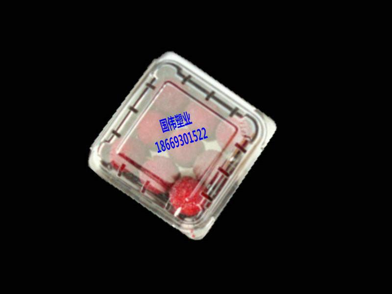 蓝莓盒树莓盒透明吸塑包装批发