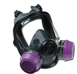 供应诺斯54001双滤盒全面罩防毒面具图片