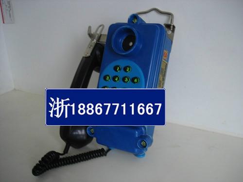 温州市矿用本安型防水电话机HBZGk-1厂家供应矿用本安型防水电话机HBZ(G)k-1