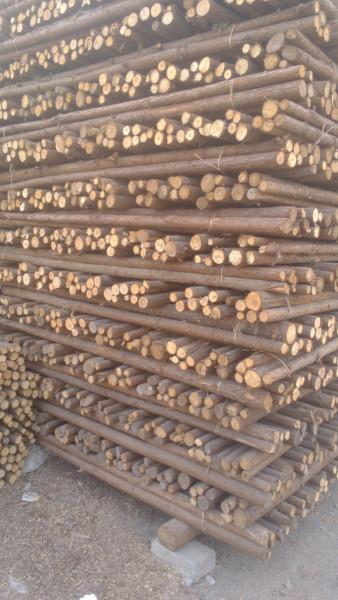 2米杉木杆大量供应批发