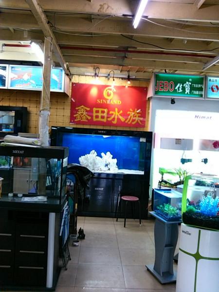 广州市生态鱼缸的制作厂家供应生态鱼缸的制作，广州生态鱼缸的制作，广州生态鱼缸的制作报价
