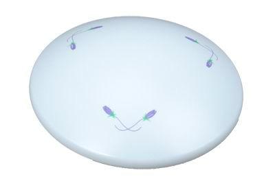 亚克力LED灯灯罩印花-小紫花批发