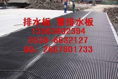 供应排水板-塑料排水板价格13563802394