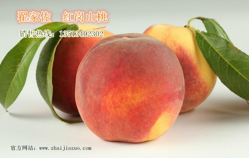 最大的桃子产地最大的桃子产地，红岗山桃大量出售
