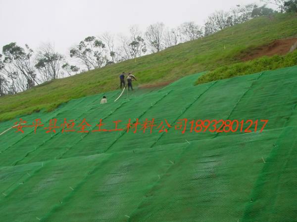 供应防止草籽冲刷护坡塑料三维土工网垫 河北厂家直销