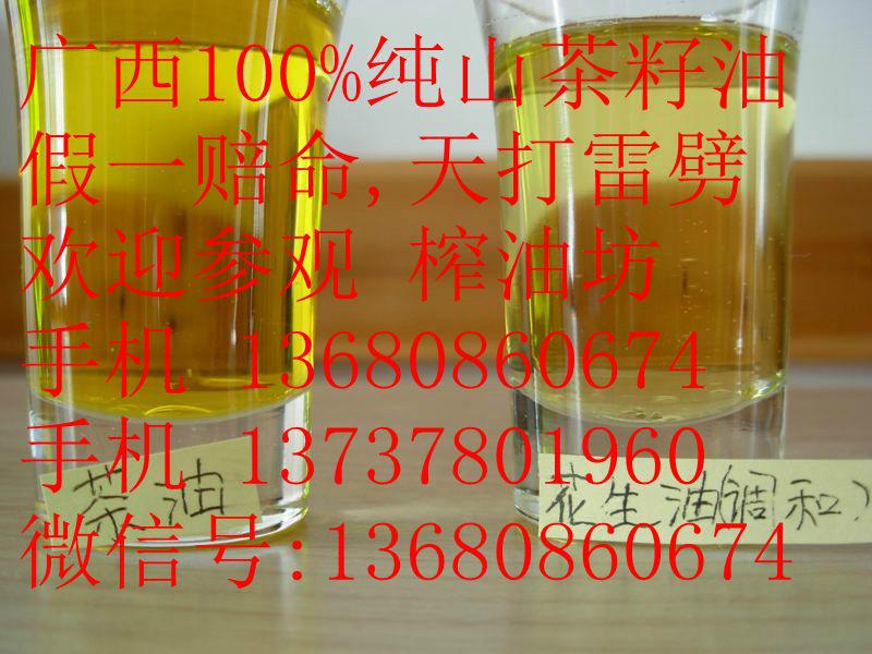 贺州市广西野生山茶油的价格广西野生茶厂家