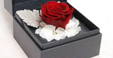 上海市厄瓜多尔玫瑰鲜花进口报关代理厂家供应厄瓜多尔玫瑰鲜花进口报关代理
