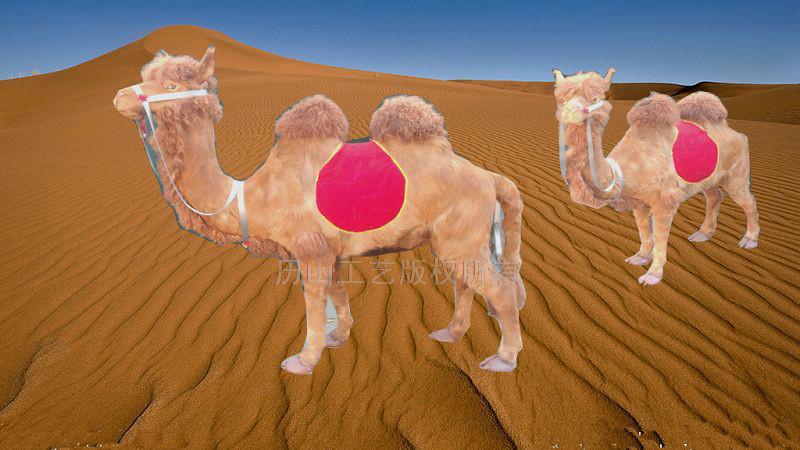 供应专业照相用骆驼模型照相用骆驼模型