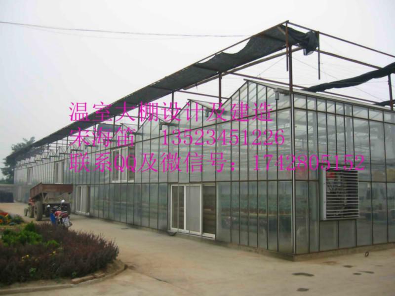 郑州市大同玻璃温室厂家供应大同玻璃温室报价/文洛型玻璃温室