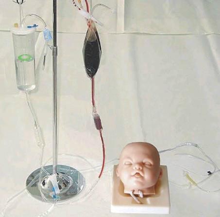 供应婴儿头部静脉穿刺训练模型