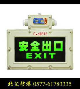 BYD-B系列防爆标志灯(IIB) 消防应急标志灯、安全出口应急灯图片