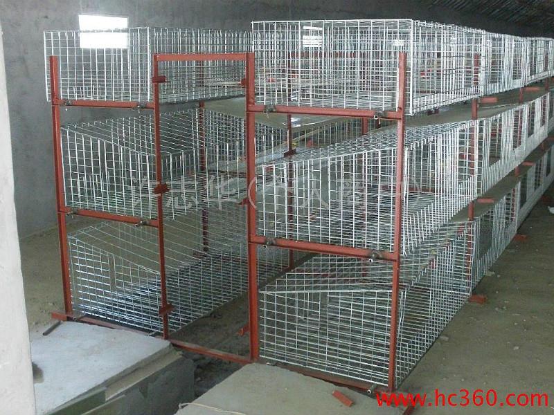 供应新疆兔笼鸽笼鸡笼厂家直销，兔笼鸽笼鸡笼电话，新疆兔笼