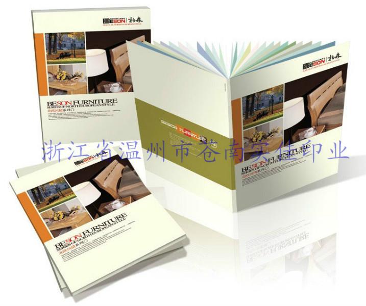 供应宣传画册，苍南宣传画册厂，温州宣传画册厂，专业宣传画册设计