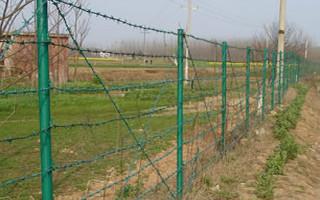 供应刺网养殖场地牧场围栏网刺绳护栏网，安平大乐丝网图片