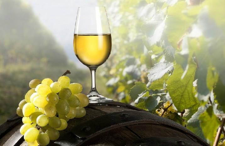 供应代理葡萄酒一般贸易进口葡萄酒进口葡萄酒报关