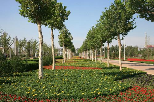 供应淄博景观工程公司/园林绿化中如何做好花坛的安全管理？
