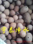温州粘土陶粒滤料低价现货厂家，温州粘土陶粒滤料低价现货批发