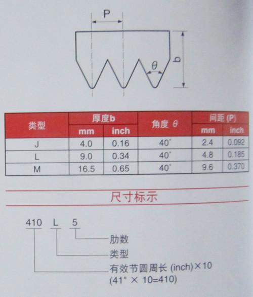 供应苏州橡胶V肋形带