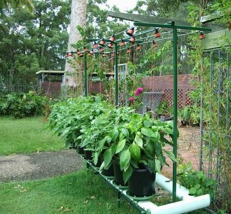 供应用于无土栽培技术的家庭式菜园无土栽培水培技术设备