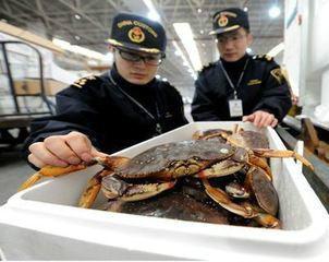 供应进口韩国智力的海鲜水产品能够清关