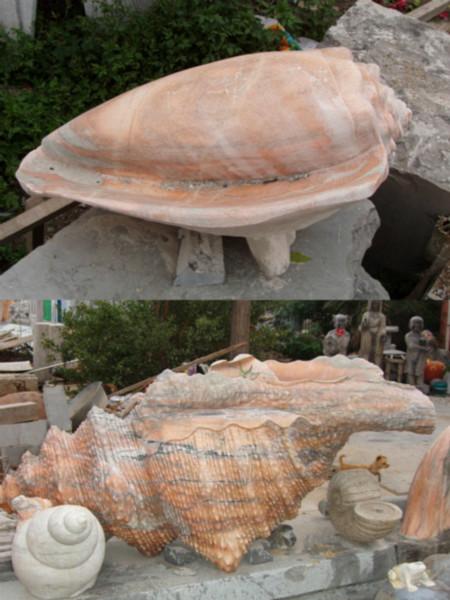 石雕海螺砗磲喷水蜗牛田螺海底贝类批发
