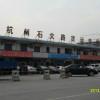 供应杭州到东营信息部配货，调车，回程车，行李托运，大件运输