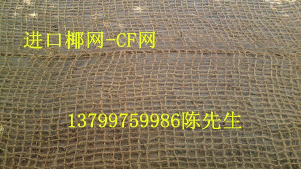 供应四川哪有卖CF网椰棕网纤维网，四川园林护坡专业CF网椰网价格