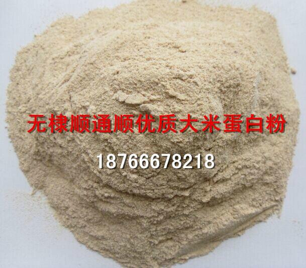 供应优级出口级大米蛋白粉