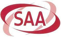 供应电源线SAA认证插头SAA认证
