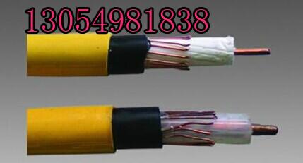 供应MSLYFVZ-75-9同轴电缆通信装置专