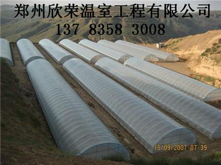 郑州大棚公司专业建造几字钢温室供应郑州大棚公司专业建造几字钢温室