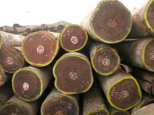 木材一般贸易清关批发