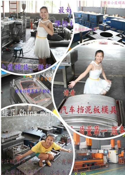 台州市塑料蓝模具厂家