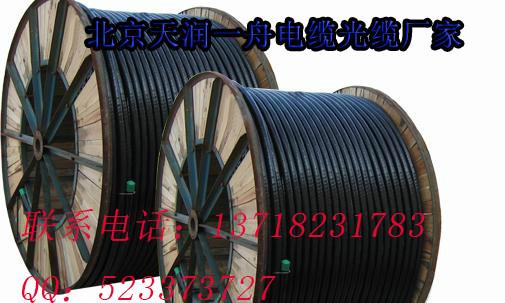北京市北京一舟厂家直销国标BV电缆线价格厂家