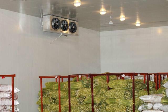 供应上海石榴保鲜冷库安装工程建造报价 果蔬冷库设计