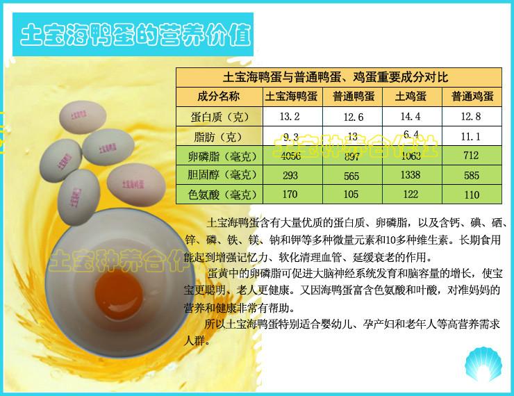 供应海鸭蛋的营养价值