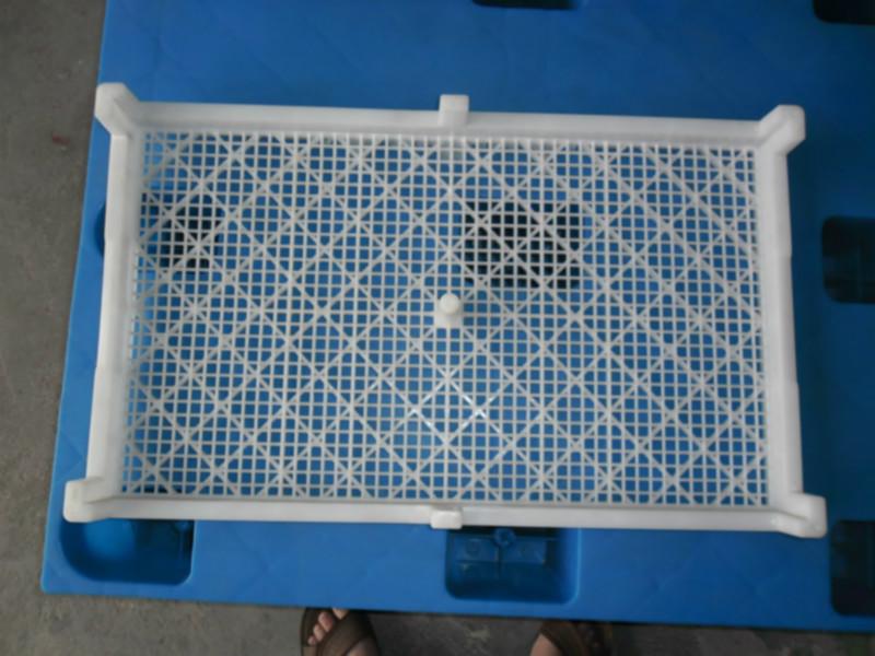 广东PVC冷冻箱厂家，物流箩筐批发，塑料鸡笼规格，塑料鸡笼批发价