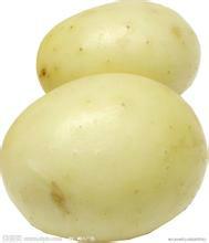 广西马铃薯种子供应广西马铃薯种子