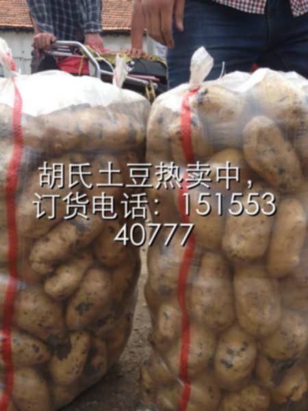 供应咸阳马铃薯种子基地土豆批发行情，马铃薯批发供货商