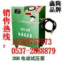 供应6DSB-25型电动试压泵