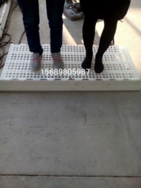 潍坊市漏粪地板厂家直销鸭用塑料地板厂家